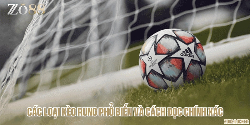 Các loại kèo rung phổ biến và cách đọc chính xác