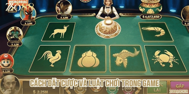 Cách đặt cược và luật chơi trong game