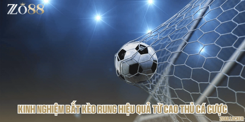 Kinh nghiệm bắt kèo rung hiệu quả từ cao thủ cá cược