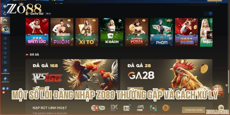 Một số lỗi đăng nhập Zo88 thường gặp và cách xử lý