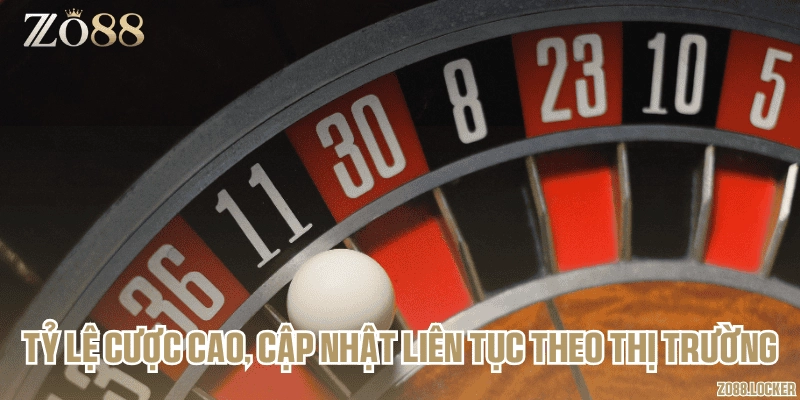 Tỷ lệ cược cao, cập nhật liên tục theo thị trường